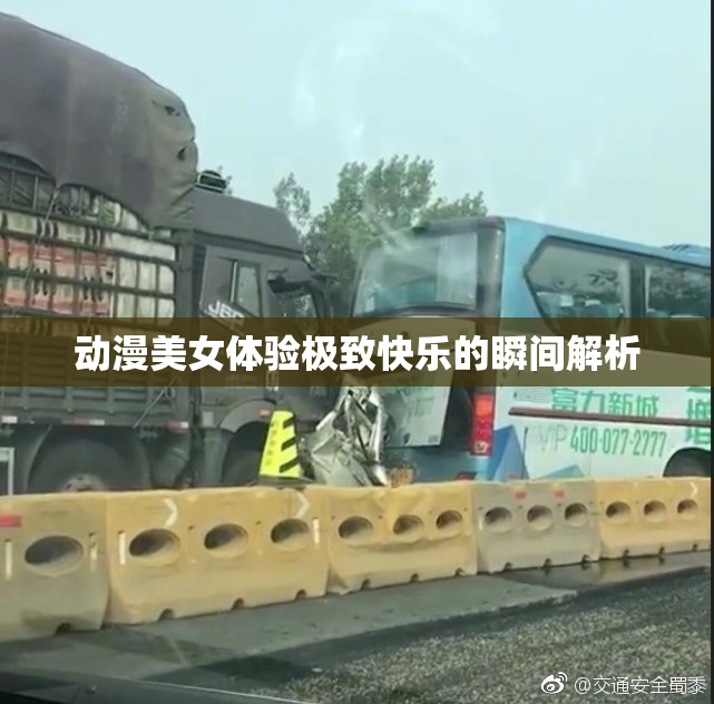 动漫美女体验极致快乐的瞬间解析