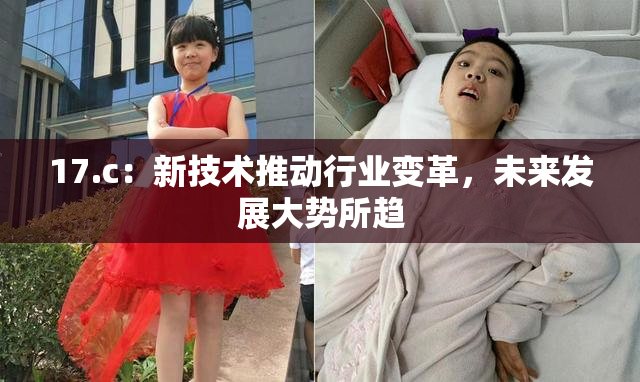 17.c：新技术推动行业变革，未来发展大势所趋