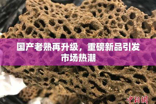国产老熟再升级，重磅新品引发市场热潮