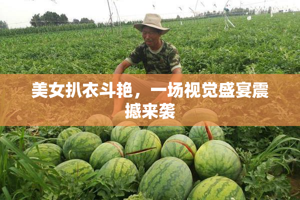 美女扒衣斗艳，一场视觉盛宴震撼来袭