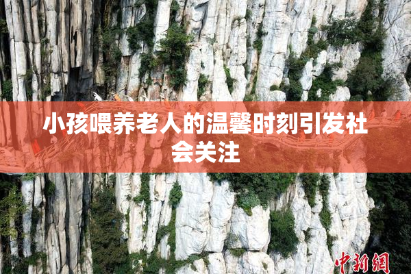 小孩喂养老人的温馨时刻引发社会关注