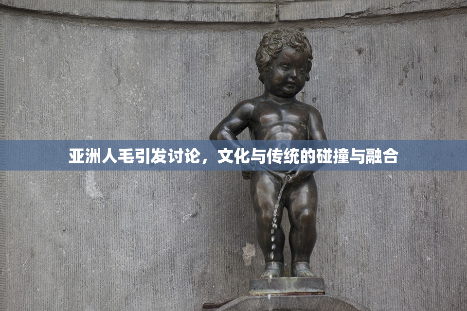 亚洲人毛引发讨论，文化与传统的碰撞与融合