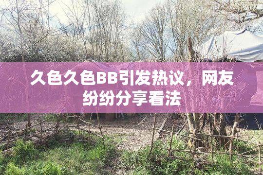 久色久色BB引发热议，网友纷纷分享看法