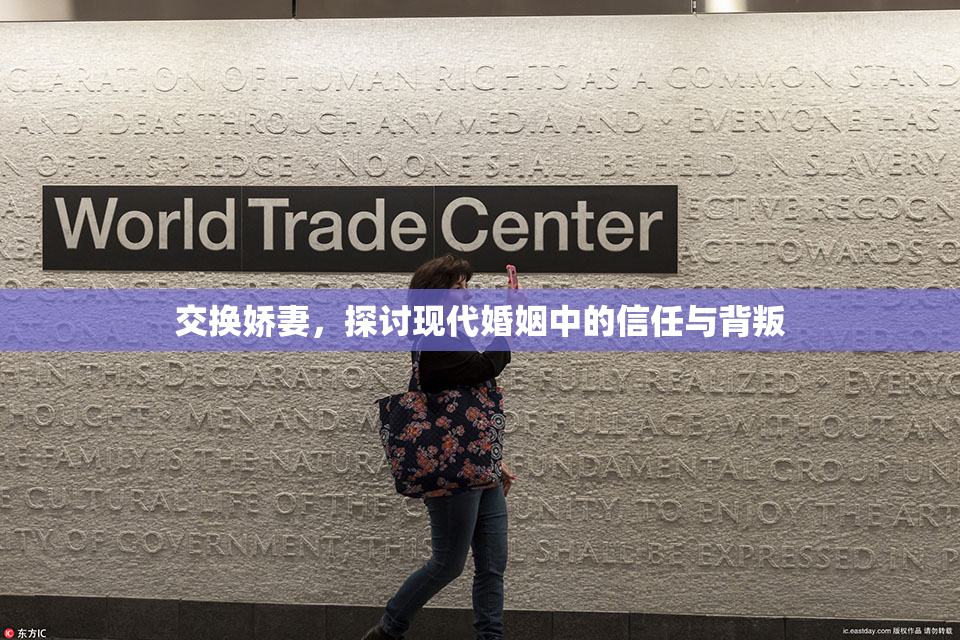 交换娇妻，探讨现代婚姻中的信任与背叛