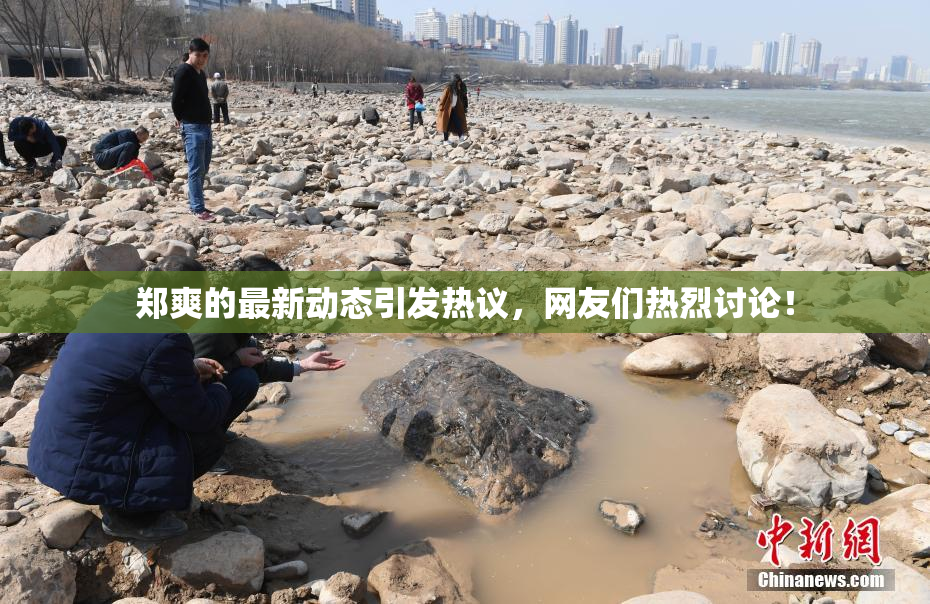 郑爽的最新动态引发热议，网友们热烈讨论！