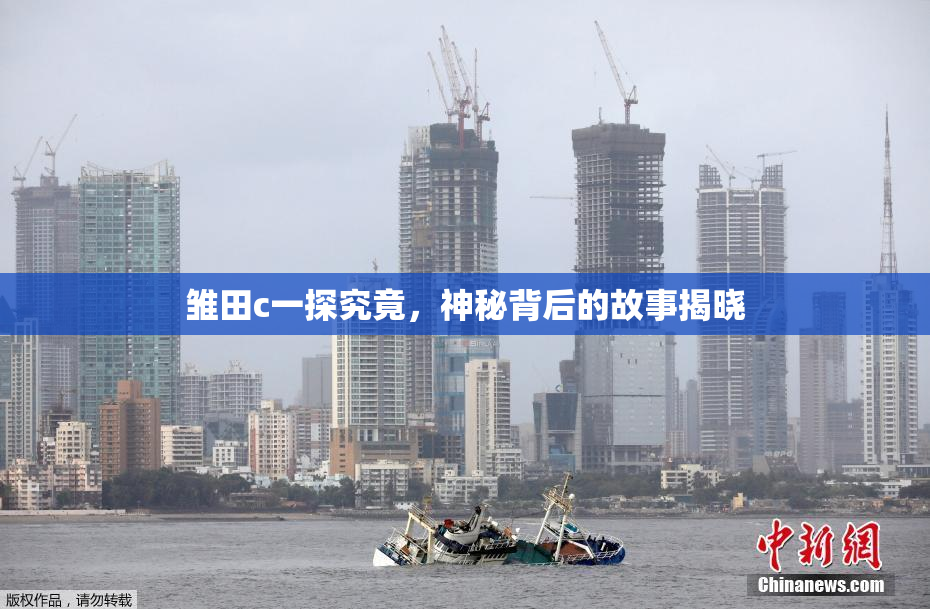 雏田c一探究竟，神秘背后的故事揭晓