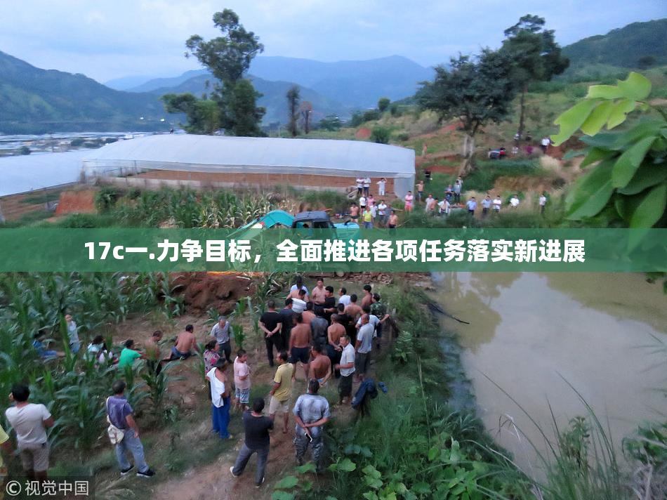 17c一.力争目标，全面推进各项任务落实新进展