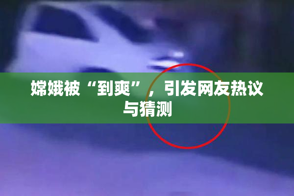 嫦娥被“到爽”，引发网友热议与猜测