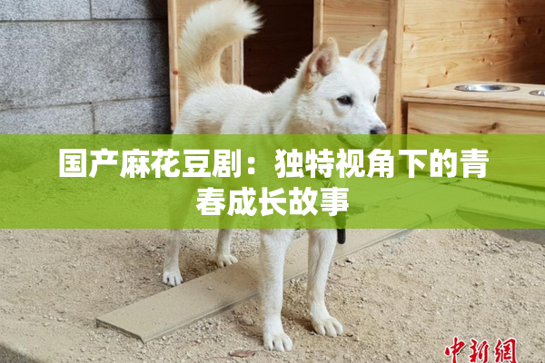 国产麻花豆剧：独特视角下的青春成长故事