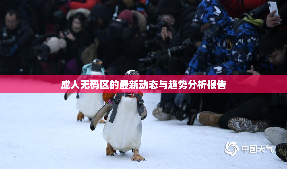 成人无码区的最新动态与趋势分析报告