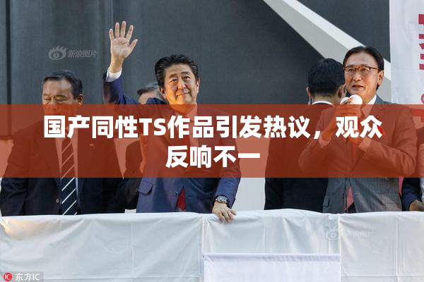 国产同性TS作品引发热议，观众反响不一