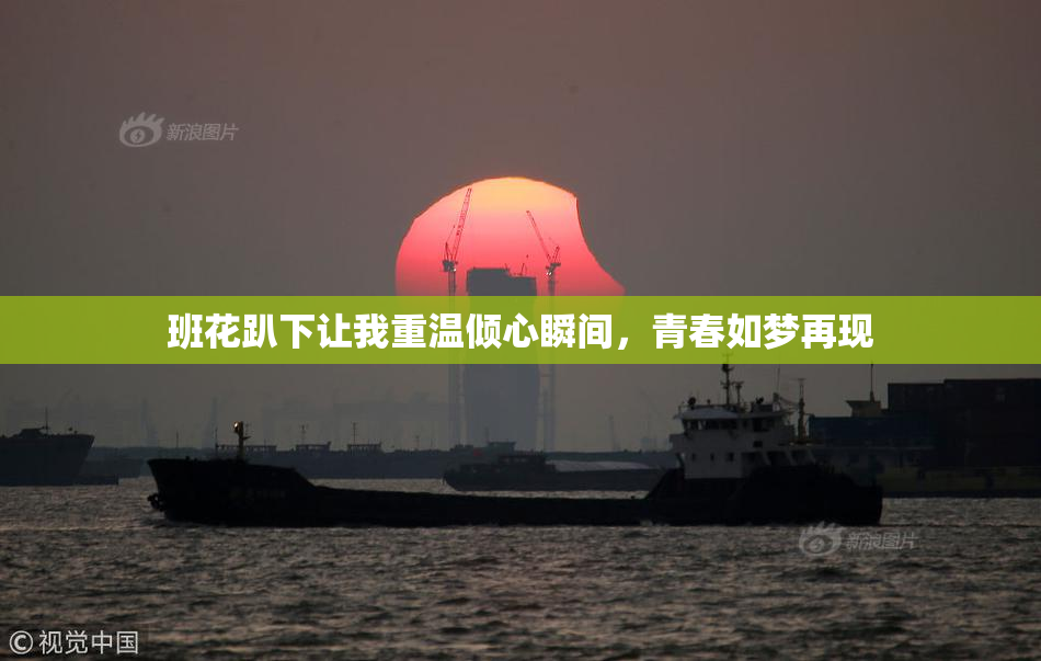 班花趴下让我重温倾心瞬间，青春如梦再现