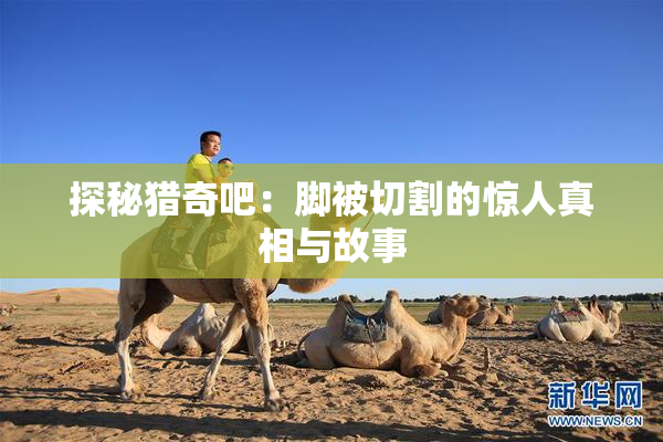 探秘猎奇吧：脚被切割的惊人真相与故事