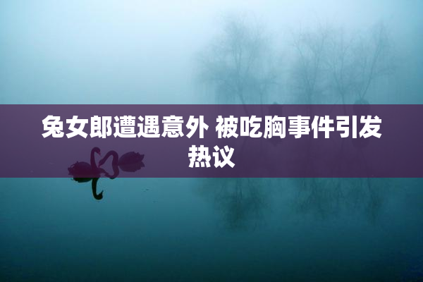兔女郎遭遇意外 被吃胸事件引发热议