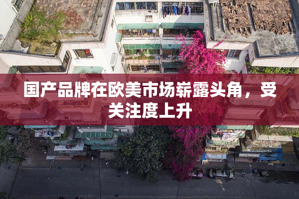 国产品牌在欧美市场崭露头角，受关注度上升