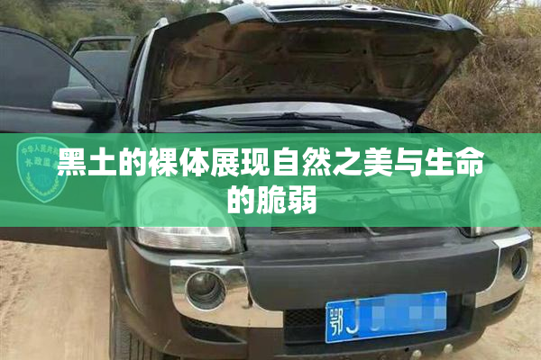 黑土的裸体展现自然之美与生命的脆弱