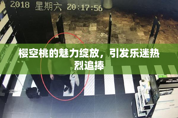 樱空桃的魅力绽放，引发乐迷热烈追捧