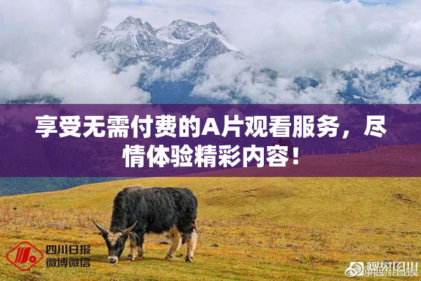 享受无需付费的A片观看服务，尽情体验精彩内容！