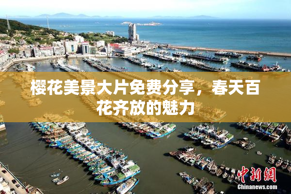 樱花美景大片免费分享，春天百花齐放的魅力