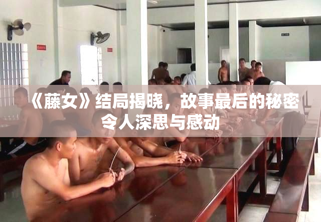 《藤女》结局揭晓，故事最后的秘密令人深思与感动