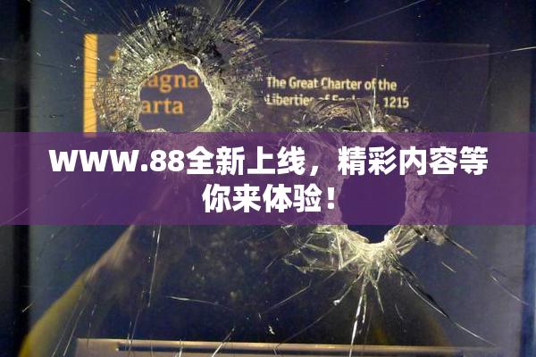 WWW.88全新上线，精彩内容等你来体验！