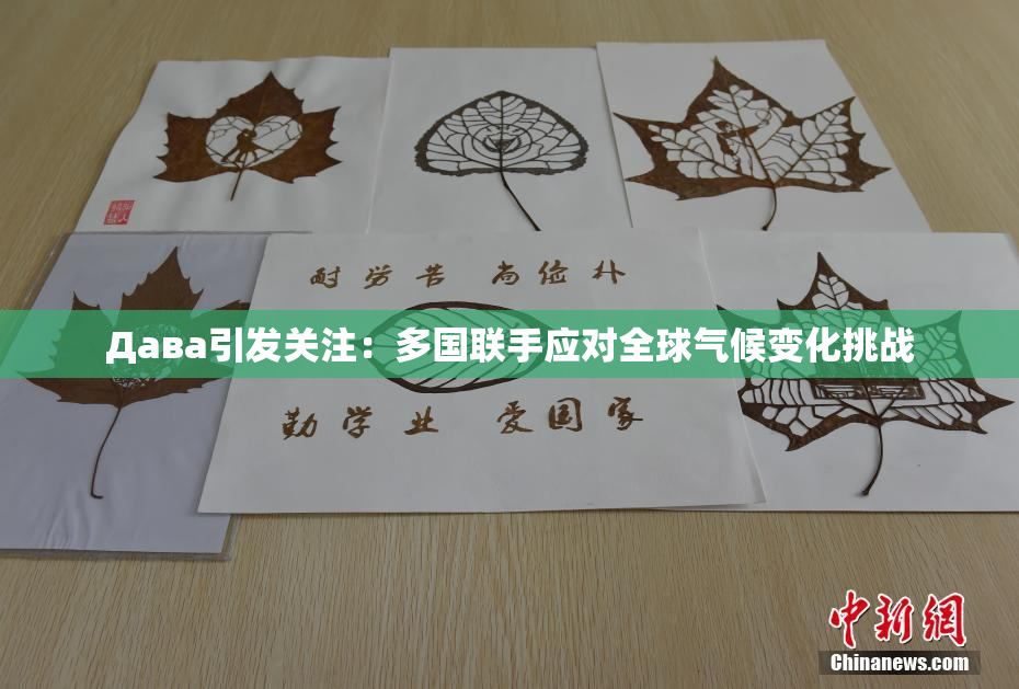 Дава引发关注：多国联手应对全球气候变化挑战