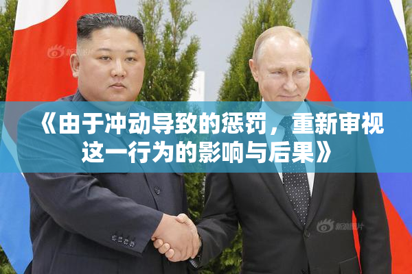 《由于冲动导致的惩罚，重新审视这一行为的影响与后果》