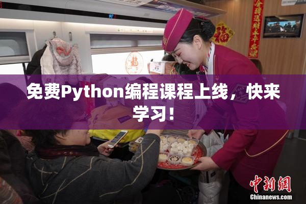 免费Python编程课程上线，快来学习！