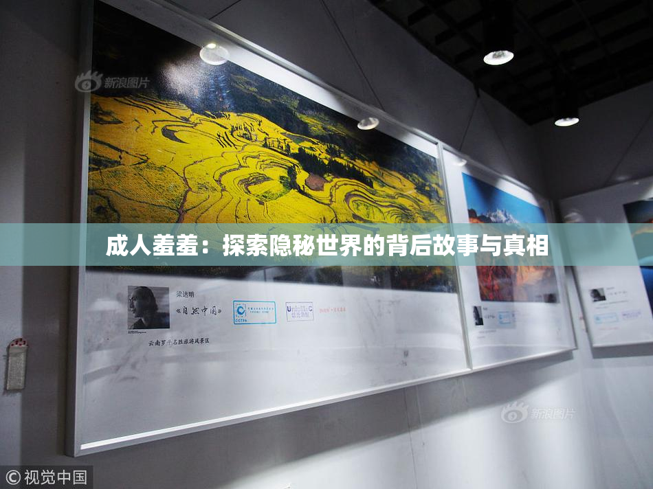 成人羞羞：探索隐秘世界的背后故事与真相