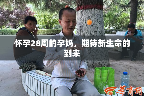 怀孕28周的孕妈，期待新生命的到来
