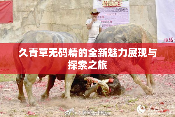 久青草无码精的全新魅力展现与探索之旅