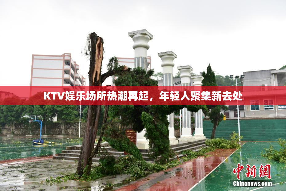 KTV娱乐场所热潮再起，年轻人聚集新去处