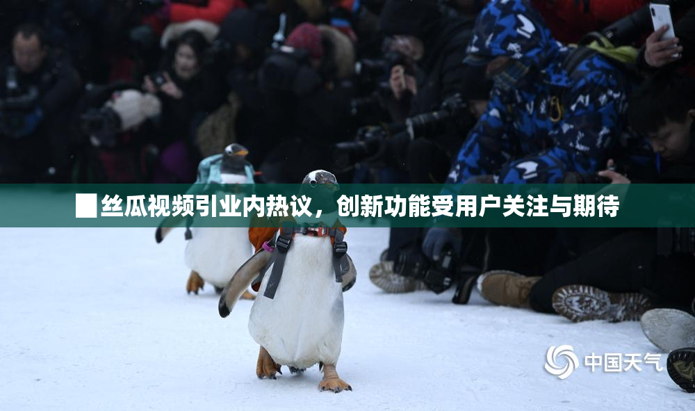 ▉丝瓜视频引业内热议，创新功能受用户关注与期待