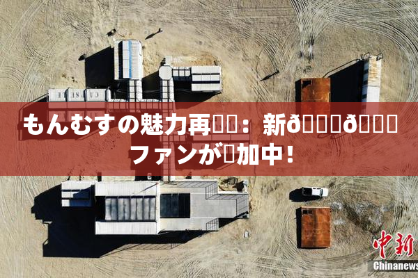 もんむすの魅力再発見：新👅🍑ファンが増加中！