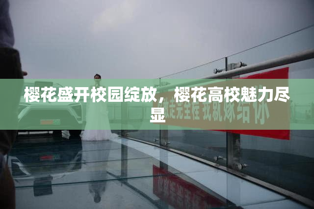 樱花盛开校园绽放，樱花高校魅力尽显