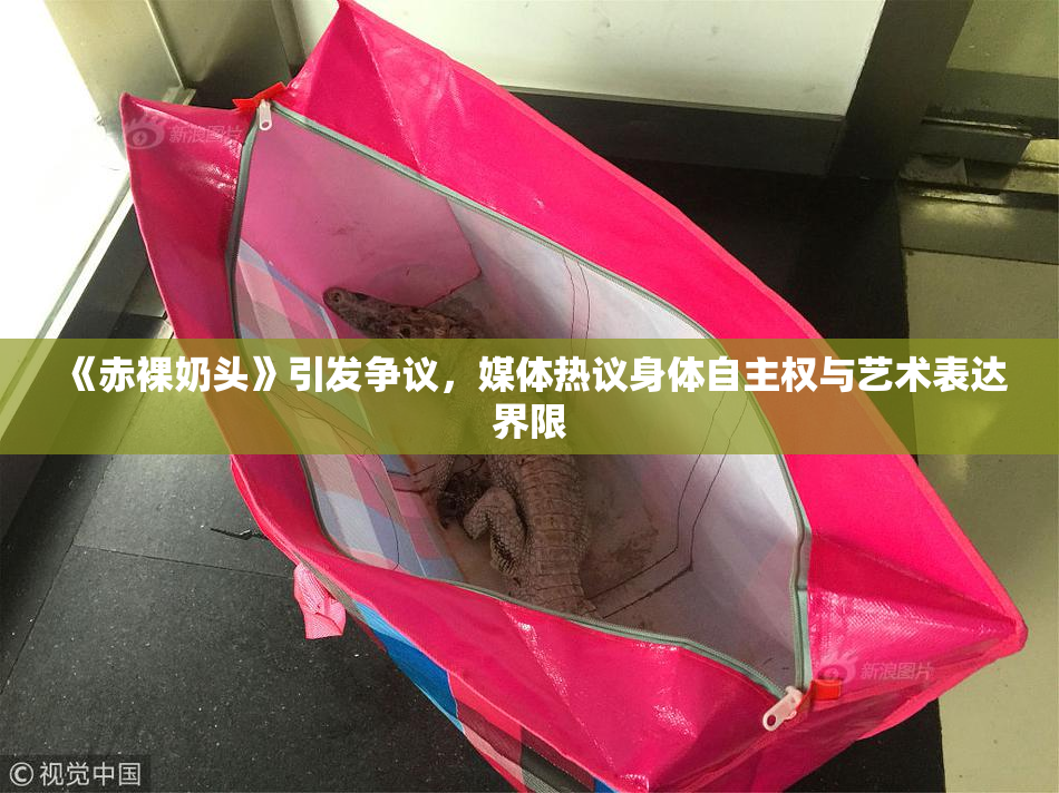 《赤裸奶头》引发争议，媒体热议身体自主权与艺术表达界限