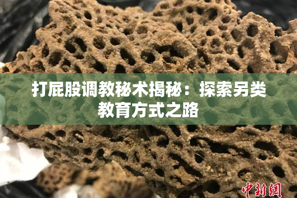打屁股调教秘术揭秘：探索另类教育方式之路