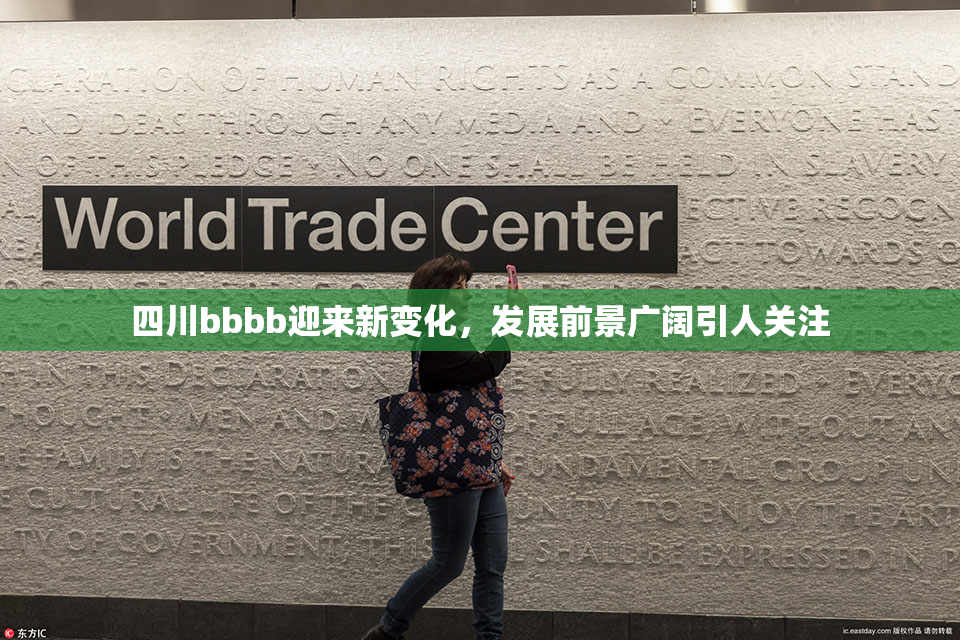 四川bbbb迎来新变化，发展前景广阔引人关注