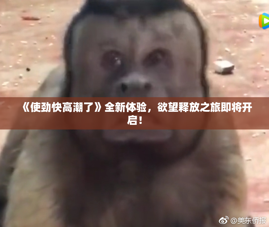 《使劲快高潮了》全新体验，欲望释放之旅即将开启！