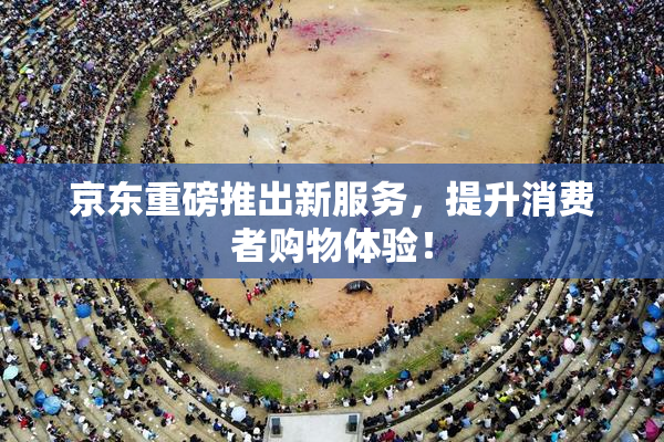 京东重磅推出新服务，提升消费者购物体验！