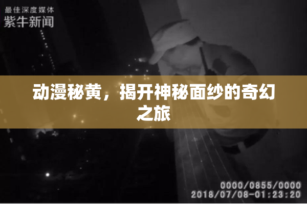 动漫秘黄，揭开神秘面纱的奇幻之旅