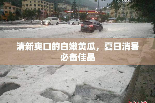 清新爽口的白嫩黄瓜，夏日消暑必备佳品