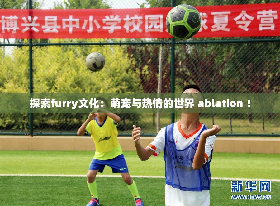 探索furry文化：萌宠与热情的世界 ablation ！