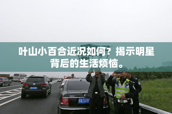叶山小百合近况如何？揭示明星背后的生活烦恼。