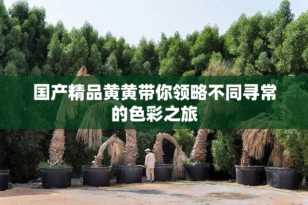 国产精品黄黄带你领略不同寻常的色彩之旅
