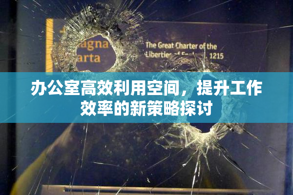 办公室高效利用空间，提升工作效率的新策略探讨