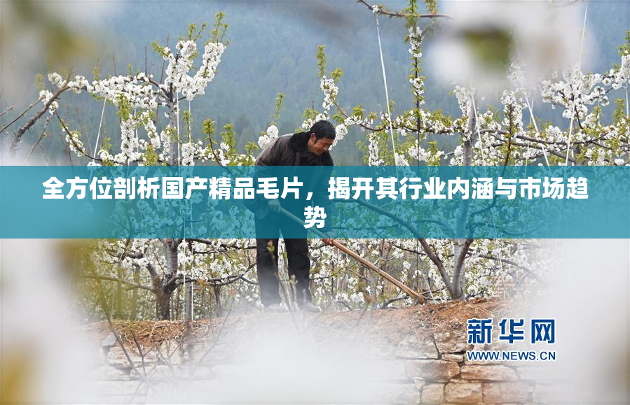 全方位剖析国产精品毛片，揭开其行业内涵与市场趋势