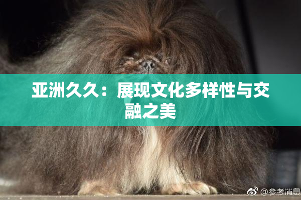 亚洲久久：展现文化多样性与交融之美
