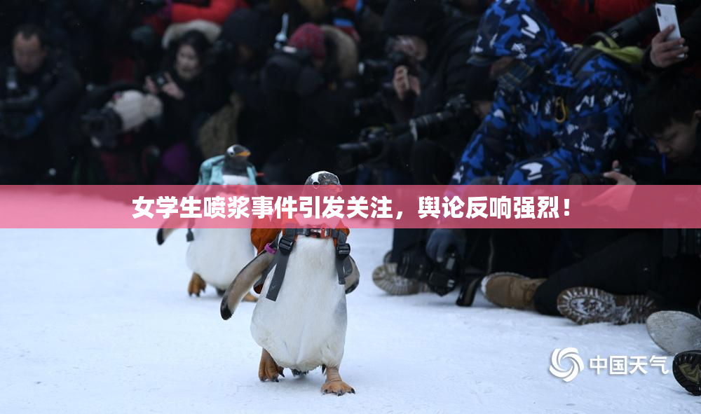 女学生喷浆事件引发关注，舆论反响强烈！