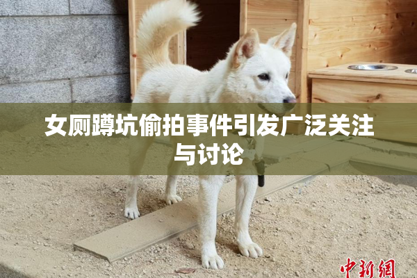 女厕蹲坑偷拍事件引发广泛关注与讨论